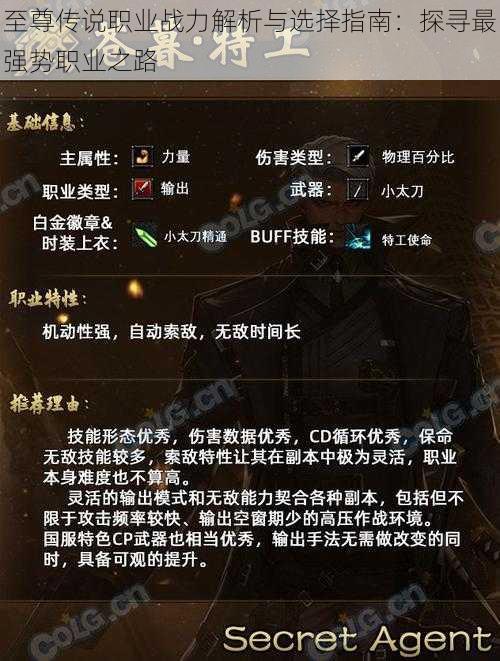 至尊传说职业战力解析与选择指南：探寻最强势职业之路