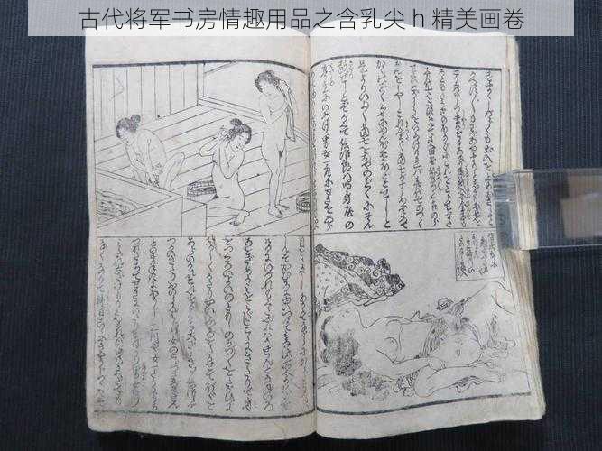 古代将军书房情趣用品之含乳尖 h 精美画卷