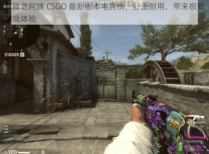 暴躁老阿姨 CSGO 最新版本电竞椅，舒适耐用，带来极致游戏体验