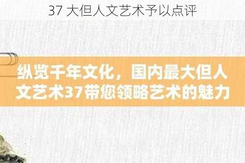 37 大但人文艺术予以点评