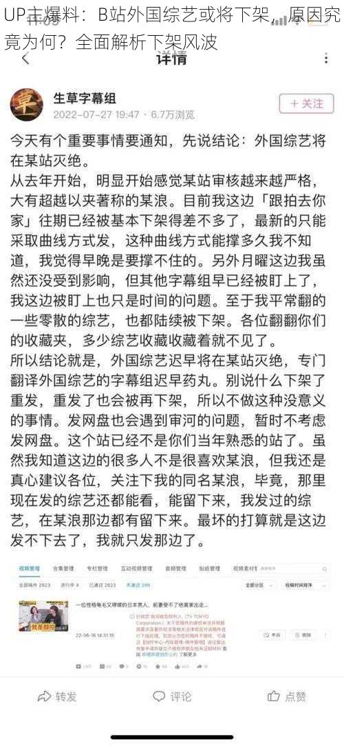 UP主爆料：B站外国综艺或将下架，原因究竟为何？全面解析下架风波