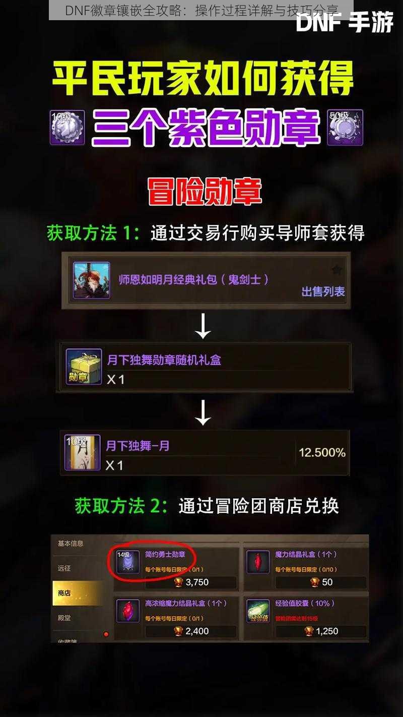 DNF徽章镶嵌全攻略：操作过程详解与技巧分享