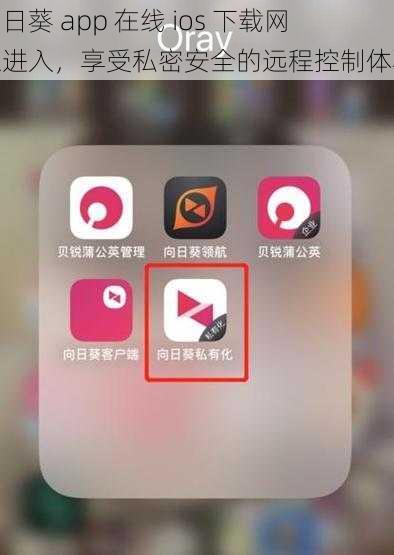 向日葵 app 在线 ios 下载网址进入，享受私密安全的远程控制体验