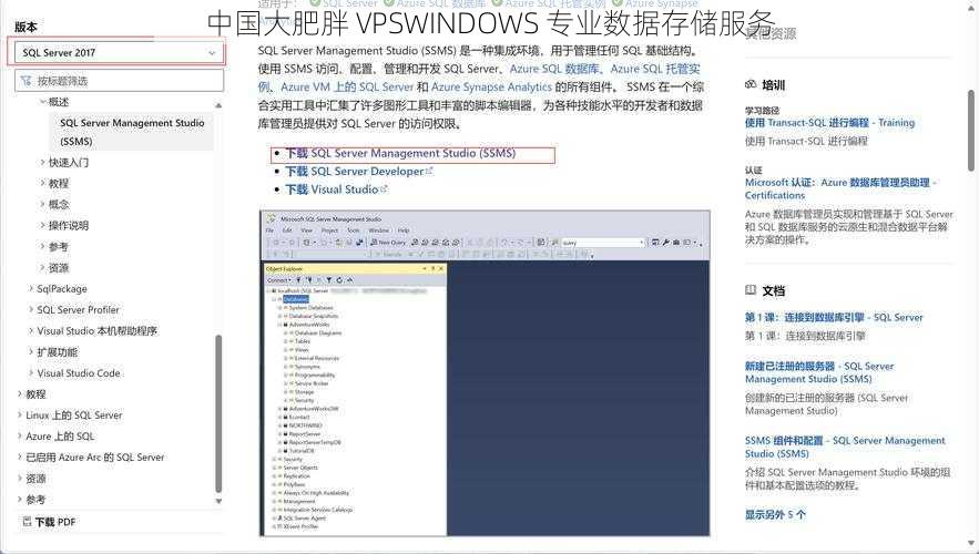 中国大肥胖 VPSWINDOWS 专业数据存储服务