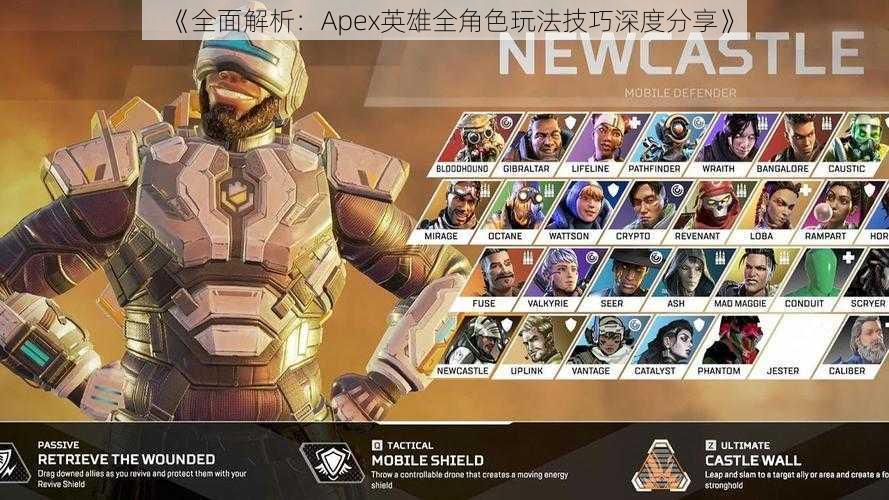 《全面解析：Apex英雄全角色玩法技巧深度分享》