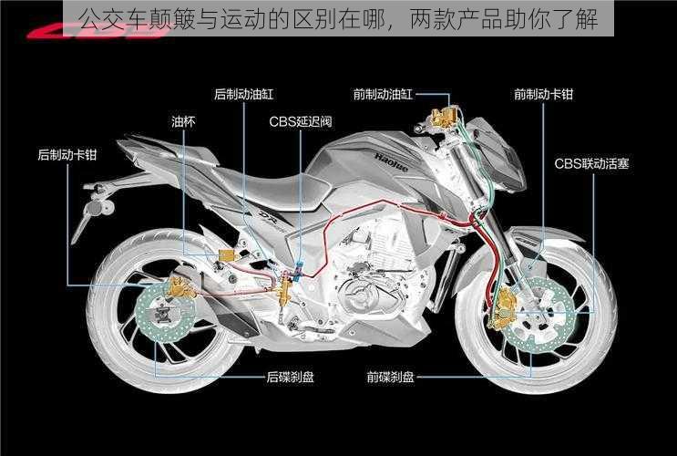 公交车颠簸与运动的区别在哪，两款产品助你了解