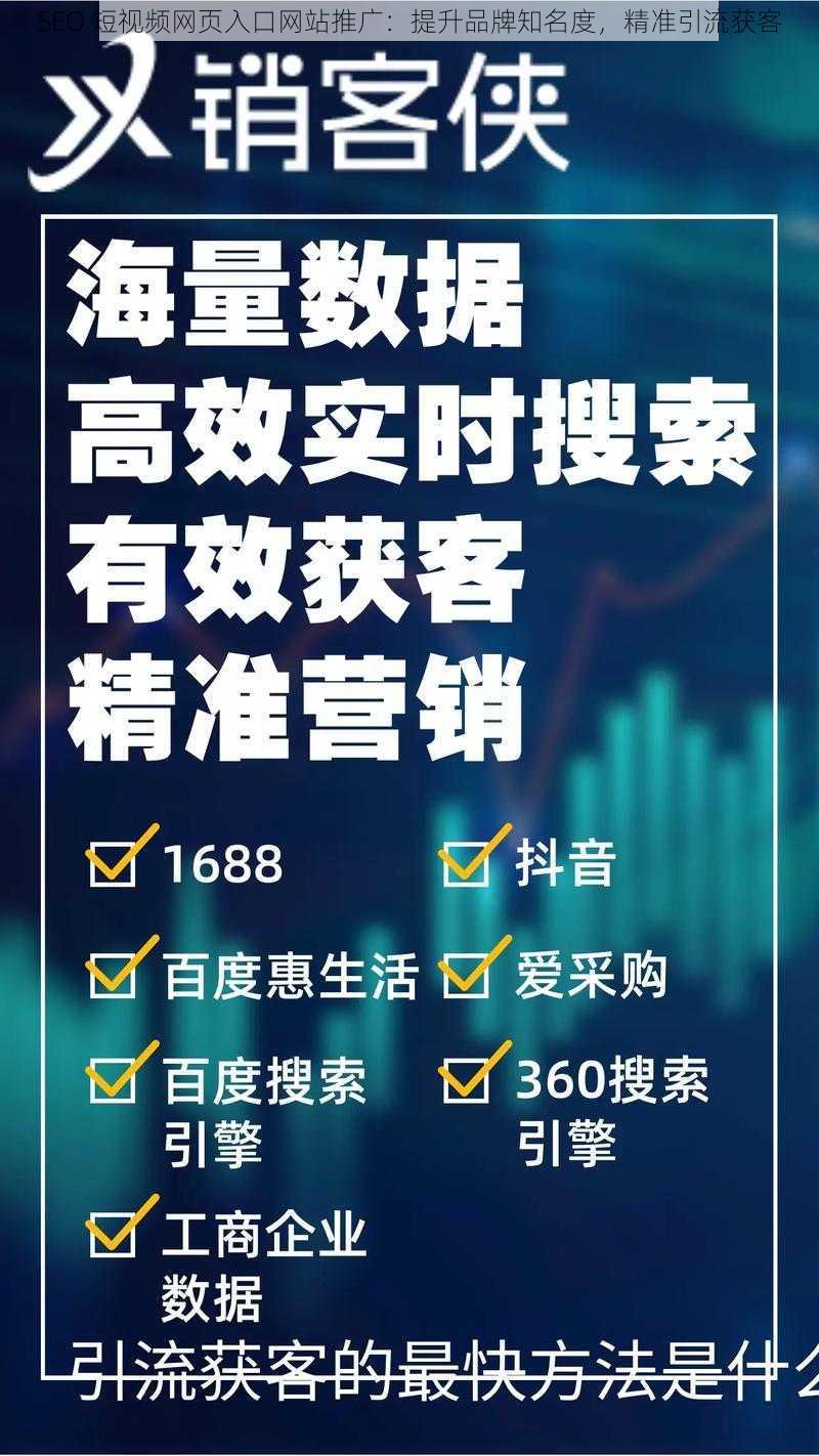 SEO 短视频网页入口网站推广：提升品牌知名度，精准引流获客