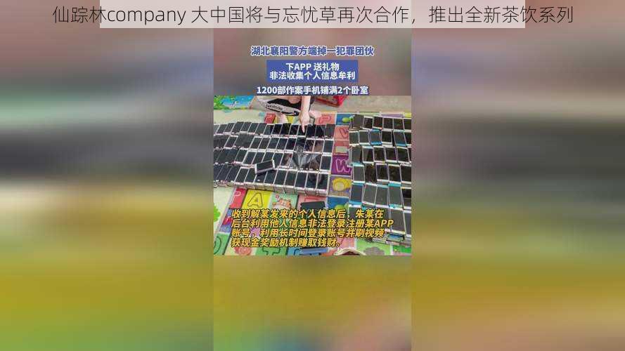 仙踪林company 大中国将与忘忧草再次合作，推出全新茶饮系列