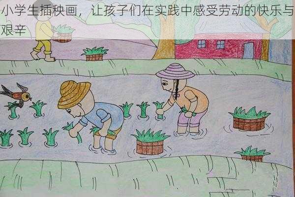 小学生插秧画，让孩子们在实践中感受劳动的快乐与艰辛