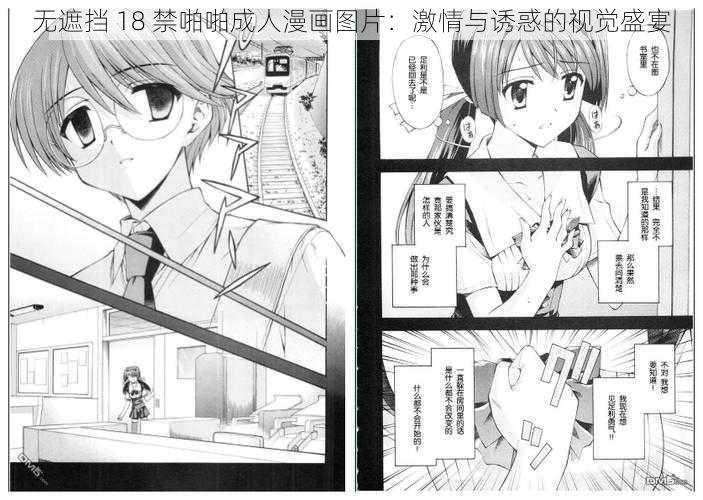 无遮挡 18 禁啪啪成人漫画图片：激情与诱惑的视觉盛宴