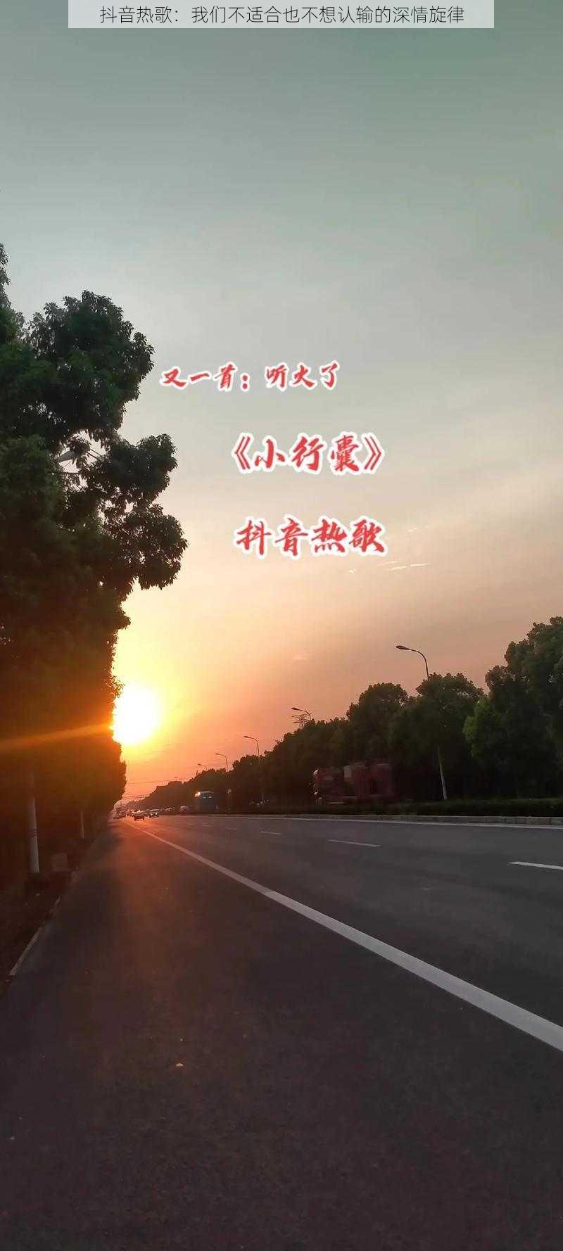 抖音热歌：我们不适合也不想认输的深情旋律