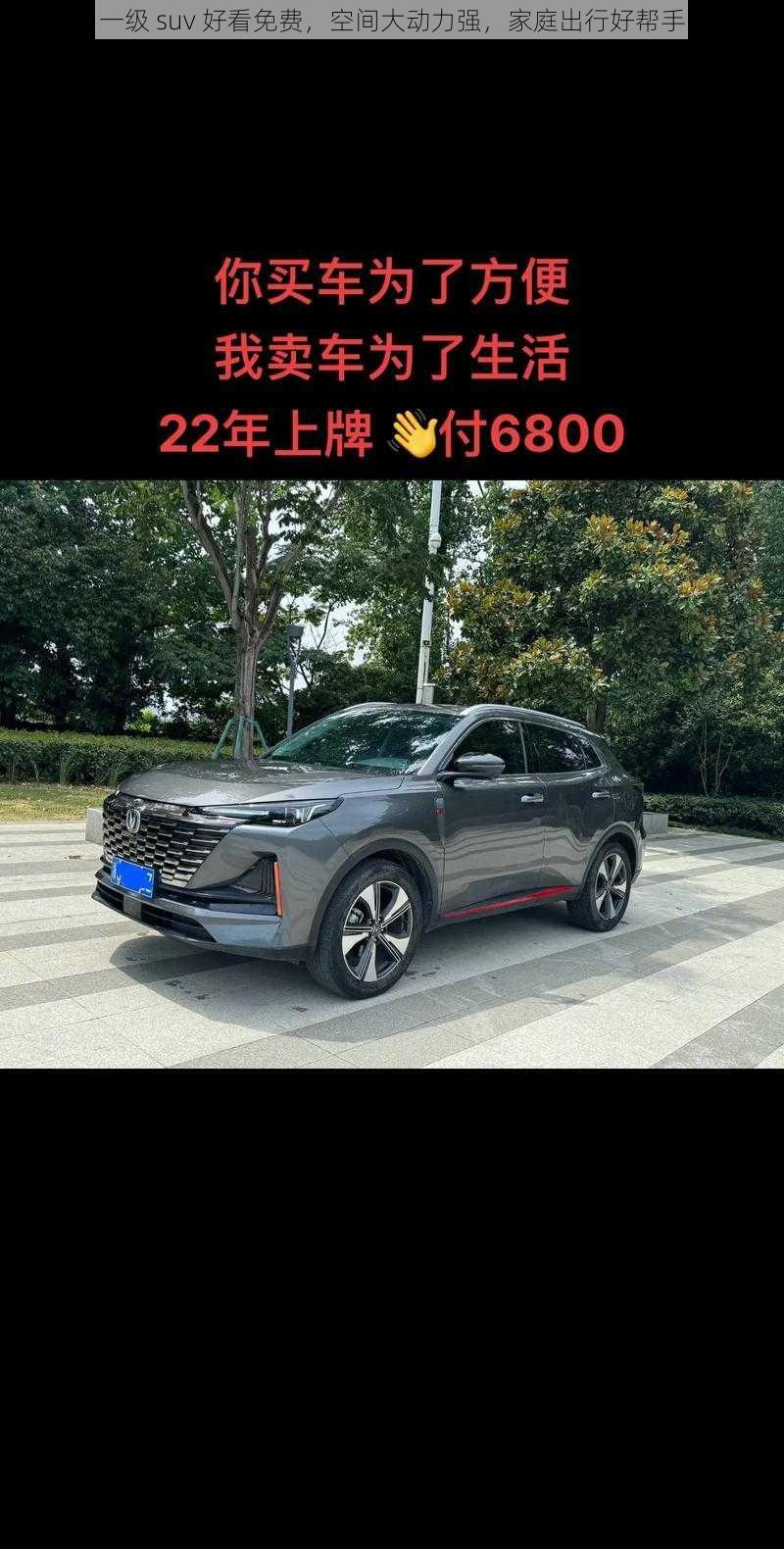 一级 suv 好看免费，空间大动力强，家庭出行好帮手