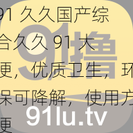 91 久久国产综合久久 91 大便，优质卫生，环保可降解，使用方便