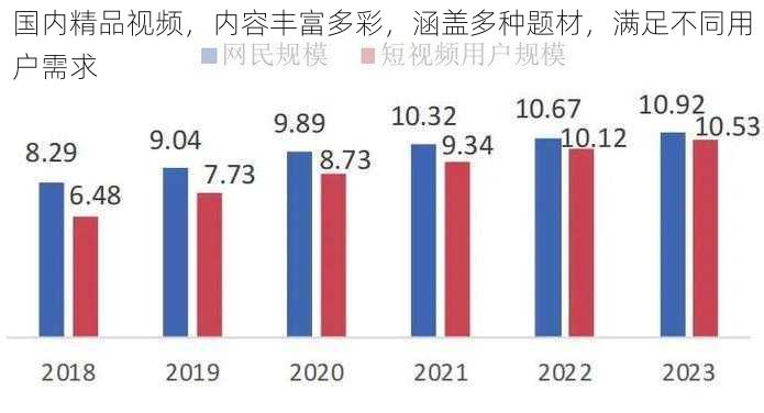 国内精品视频，内容丰富多彩，涵盖多种题材，满足不同用户需求