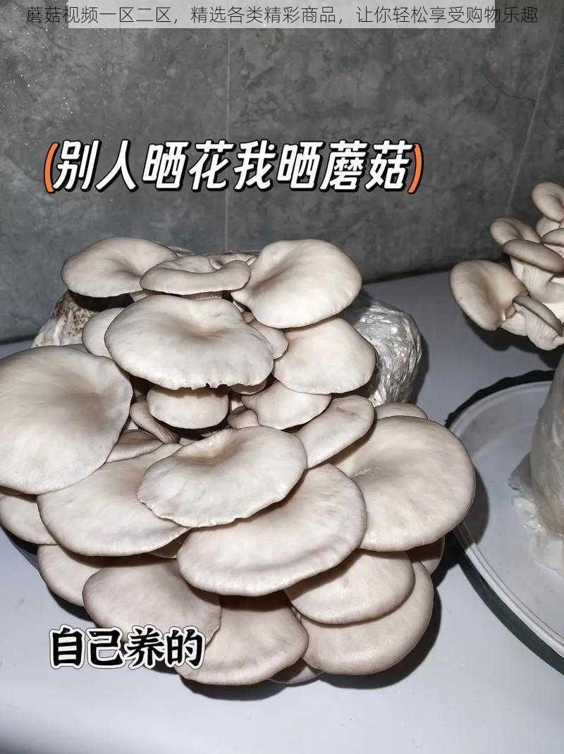 蘑菇视频一区二区，精选各类精彩商品，让你轻松享受购物乐趣