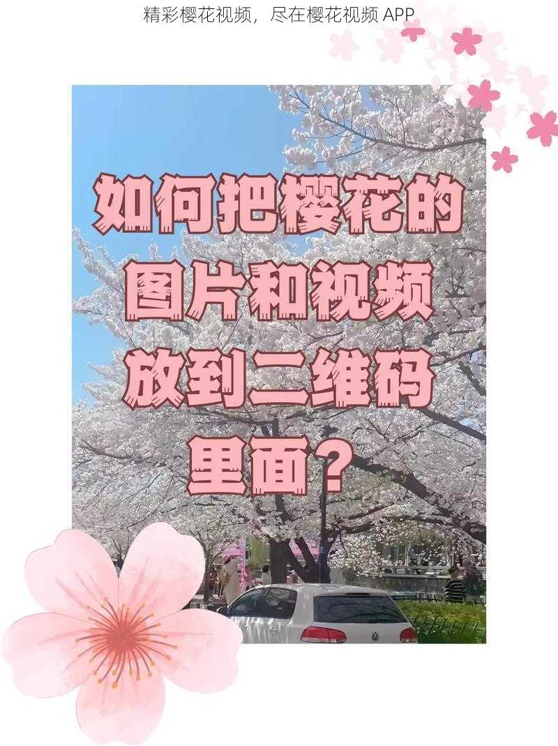 精彩樱花视频，尽在樱花视频 APP