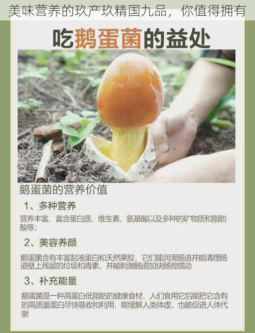 美味营养的玖产玖精国九品，你值得拥有