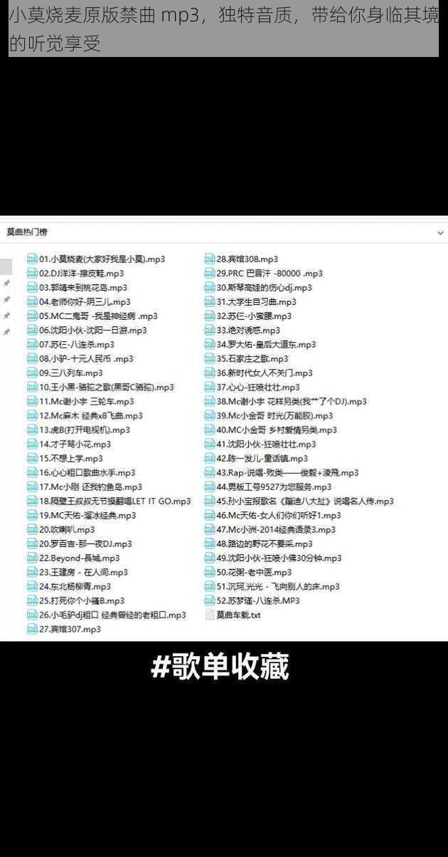 小莫烧麦原版禁曲 mp3，独特音质，带给你身临其境的听觉享受