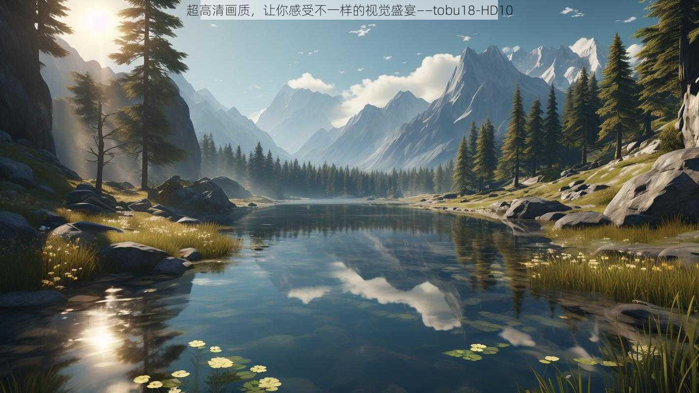 超高清画质，让你感受不一样的视觉盛宴——tobu18-HD10