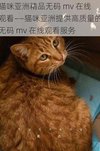 猫咪亚洲精品无码 mv 在线观看——猫咪亚洲提供高质量的无码 mv 在线观看服务