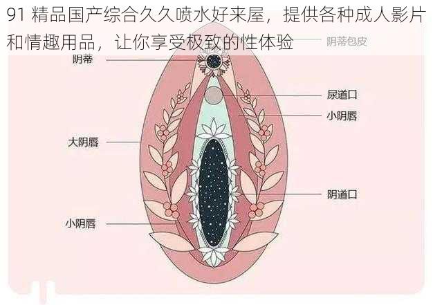 91 精品国产综合久久喷水好来屋，提供各种成人影片和情趣用品，让你享受极致的性体验