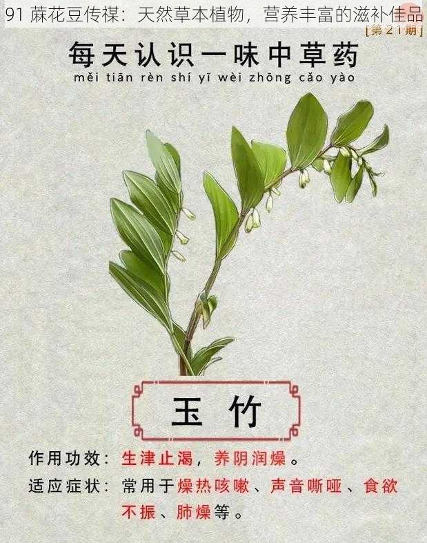 91 蔴花豆传禖：天然草本植物，营养丰富的滋补佳品