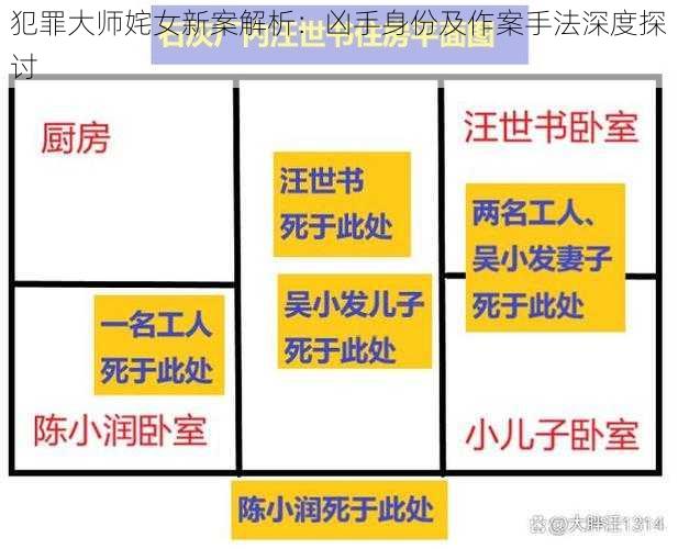 犯罪大师姹女新案解析：凶手身份及作案手法深度探讨