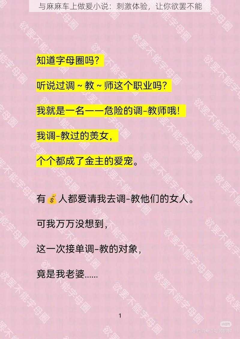 与麻麻车上做爰小说：刺激体验，让你欲罢不能