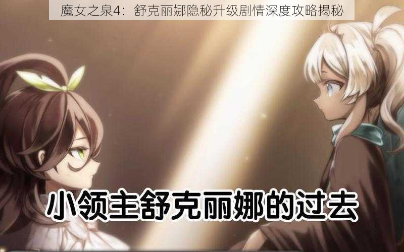 魔女之泉4：舒克丽娜隐秘升级剧情深度攻略揭秘