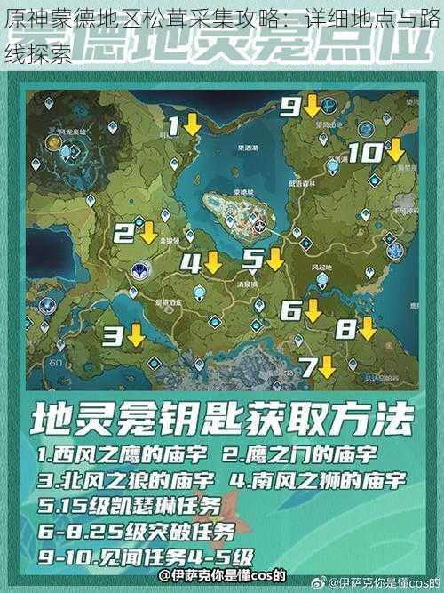 原神蒙德地区松茸采集攻略：详细地点与路线探索