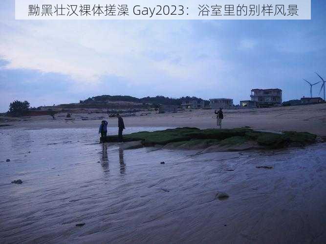 黝黑壮汉裸体搓澡 Gay2023：浴室里的别样风景