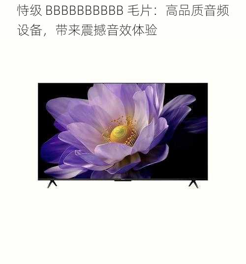 恃级 BBBBBBBBBB 毛片：高品质音频设备，带来震撼音效体验