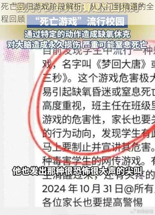 死亡回归游戏阶段解析：从入门到精通的全程回顾