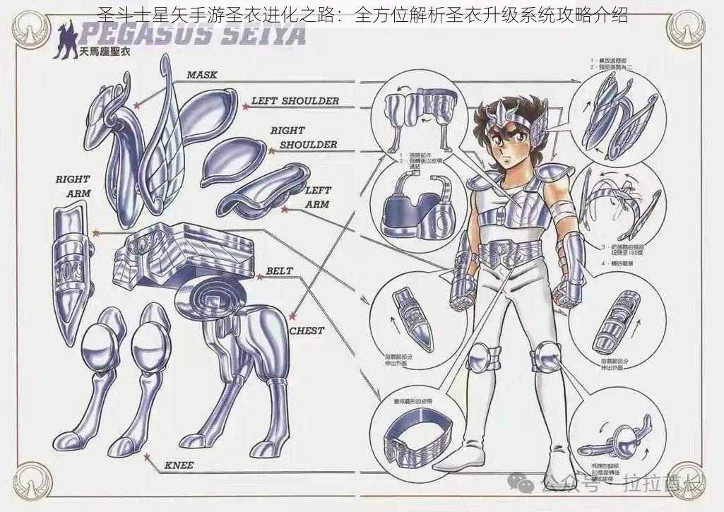 圣斗士星矢手游圣衣进化之路：全方位解析圣衣升级系统攻略介绍