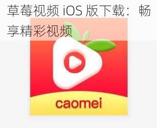 草莓视频 iOS 版下载：畅享精彩视频