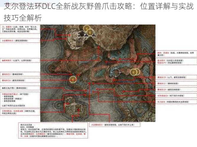 艾尔登法环DLC全新战灰野兽爪击攻略：位置详解与实战技巧全解析