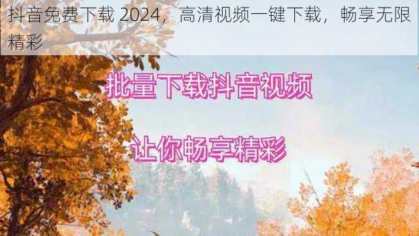 抖音免费下载 2024，高清视频一键下载，畅享无限精彩