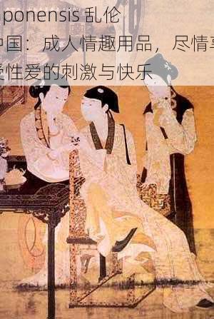 japonensis 乱伦中国：成人情趣用品，尽情享受性爱的刺激与快乐