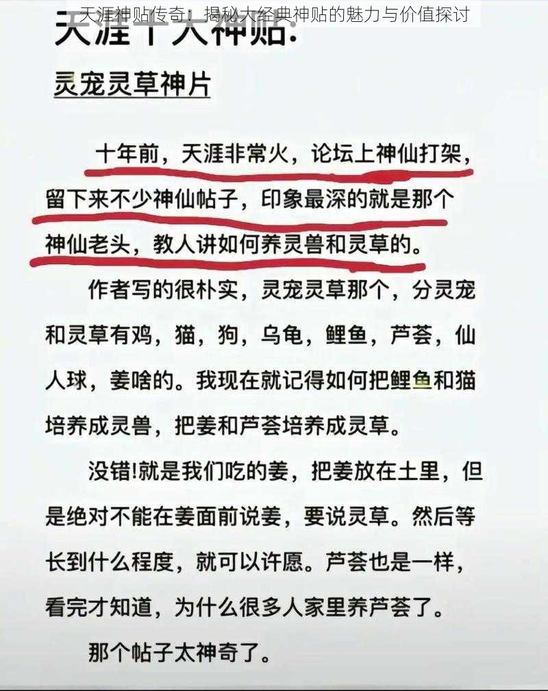 天涯神贴传奇：揭秘大经典神贴的魅力与价值探讨