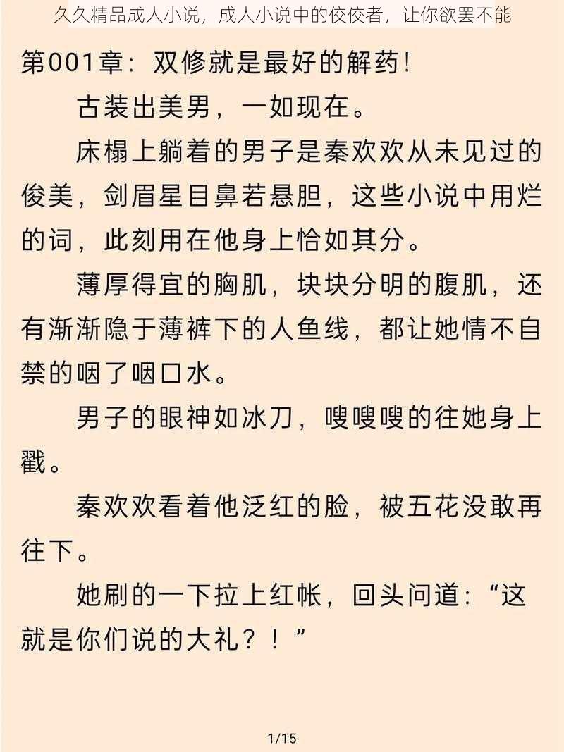 久久精品成人小说，成人小说中的佼佼者，让你欲罢不能