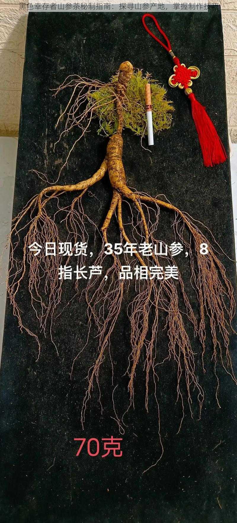 黑色幸存者山参茶秘制指南：探寻山参产地，掌握制作技巧