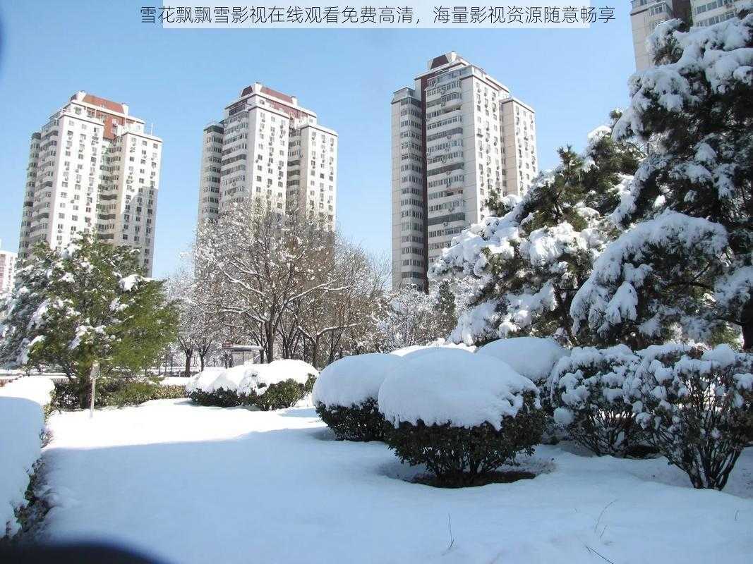 雪花飘飘雪影视在线观看免费高清，海量影视资源随意畅享