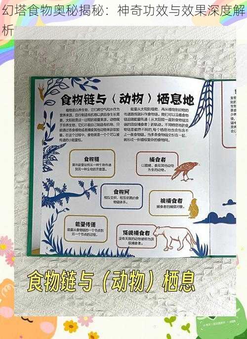 幻塔食物奥秘揭秘：神奇功效与效果深度解析