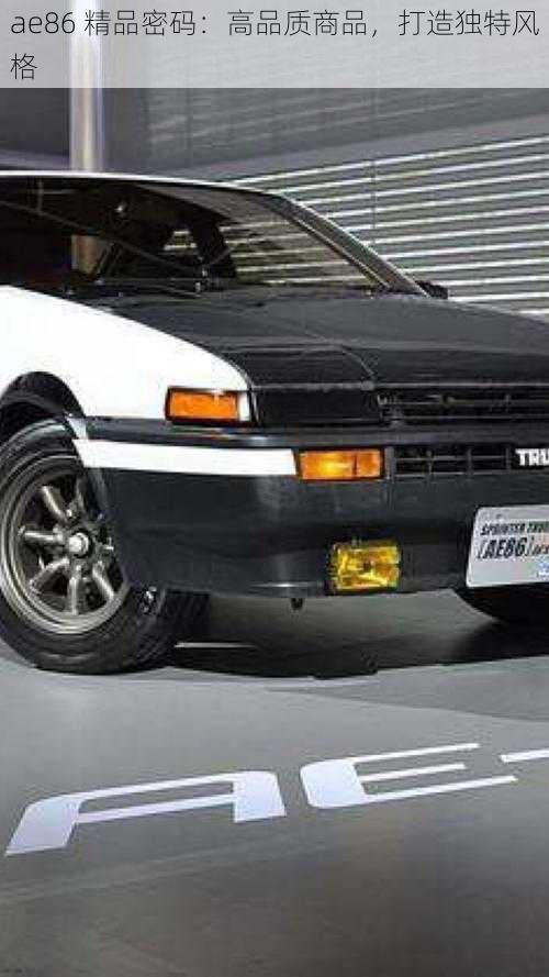 ae86 精品密码：高品质商品，打造独特风格