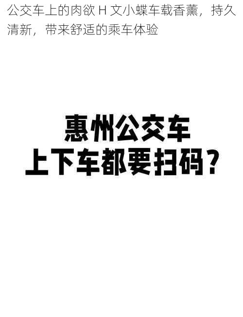 公交车上的肉欲 H 文小蝶车载香薰，持久清新，带来舒适的乘车体验