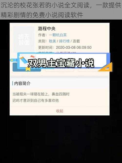 沉沦的校花张若昀小说全文阅读，一款提供精彩剧情的免费小说阅读软件