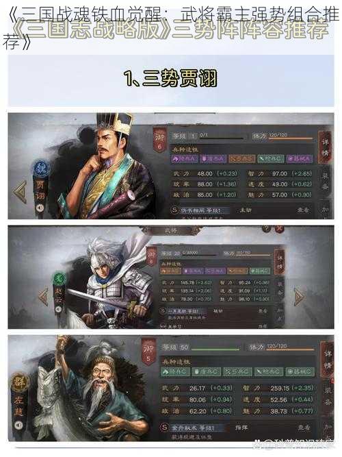 《三国战魂铁血觉醒：武将霸主强势组合推荐》