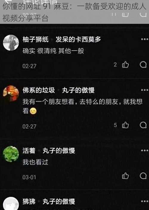 你懂的网址 91 麻豆：一款备受欢迎的成人视频分享平台