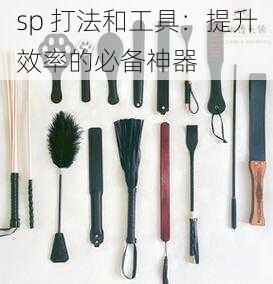 sp 打法和工具：提升效率的必备神器