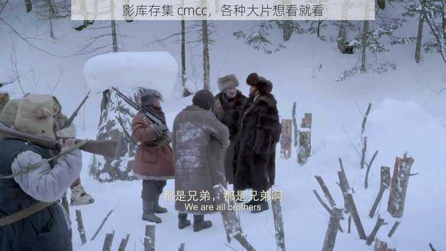 影库存集 cmcc，各种大片想看就看